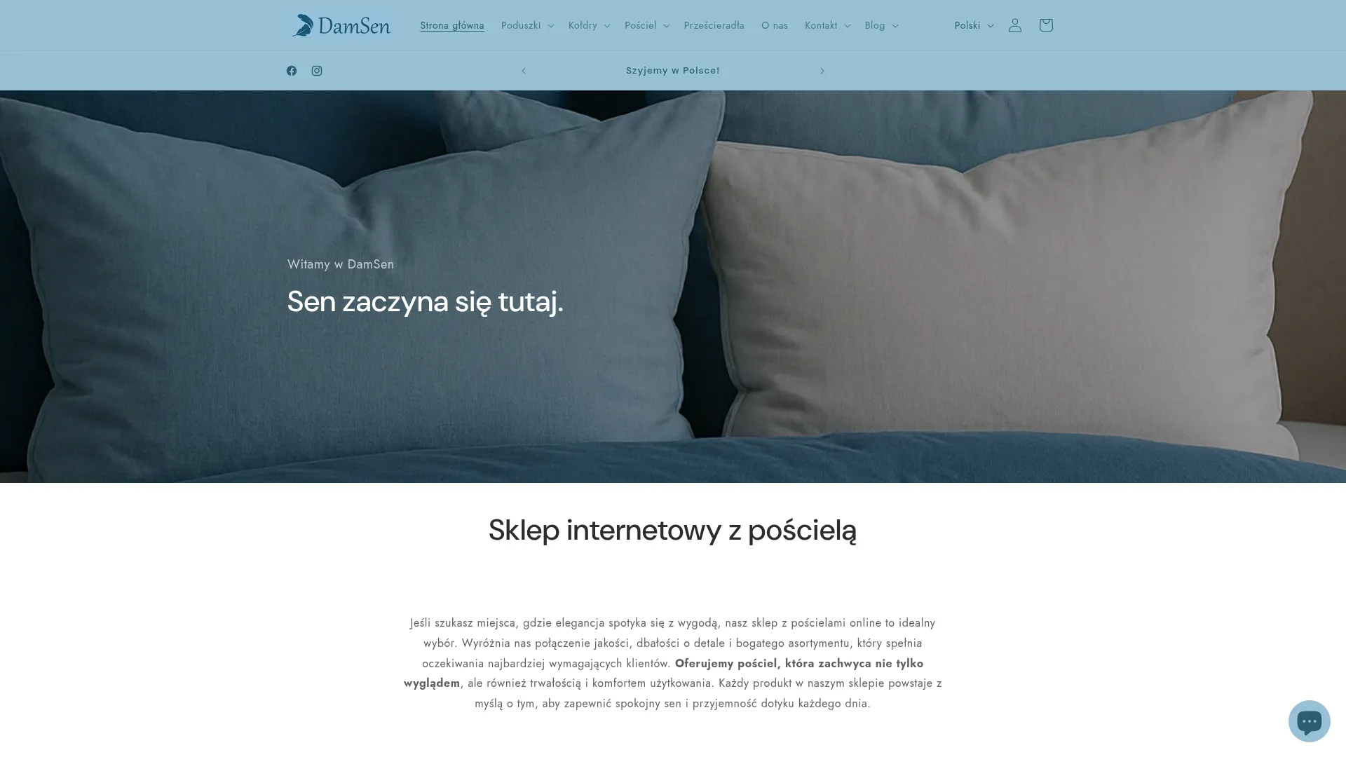 Zrzut ekranu strony DamSen